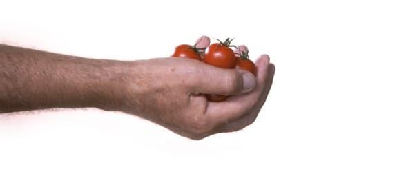 Håndfull grønnsaker og frukt som illustrerer porsjonsstørrelser i 5 om dagen