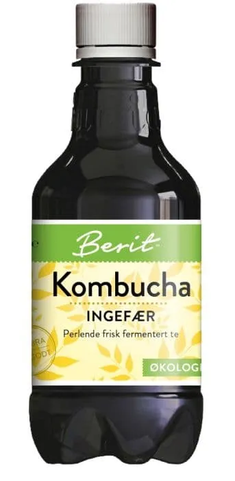 Norsk Kombucha