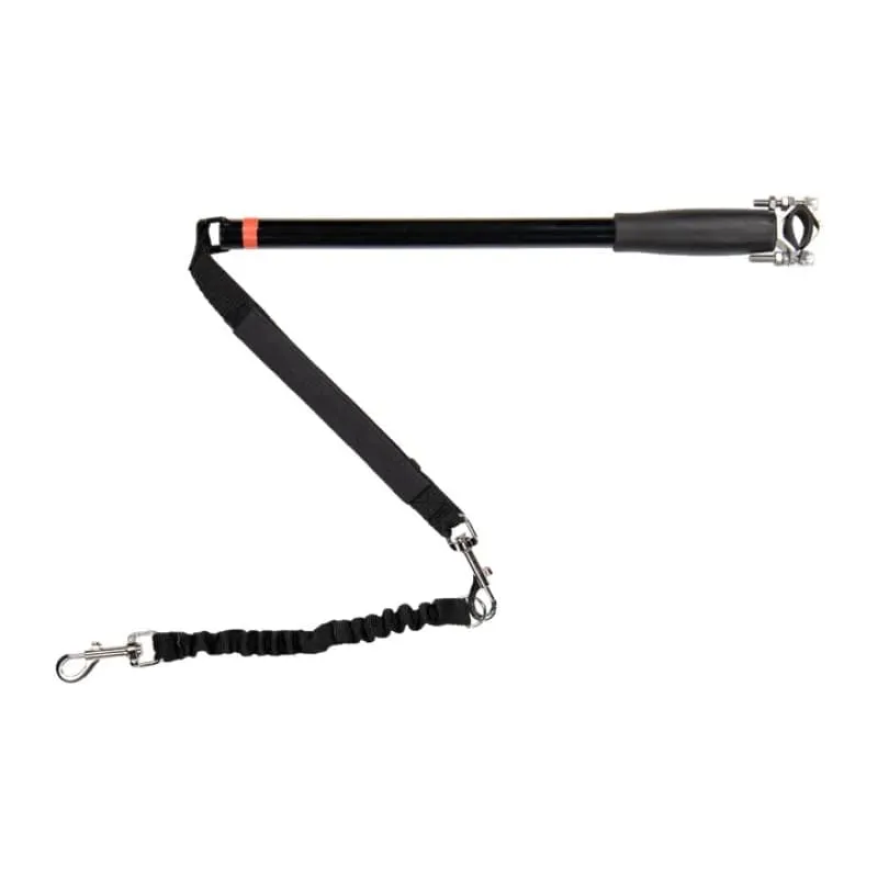 Sykkelfeste hund test